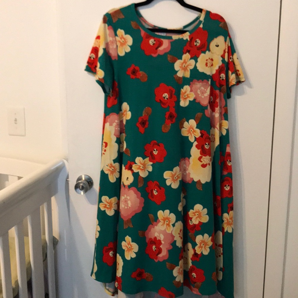 LuLaRoe Size L Carly Green with beautiful flowers!